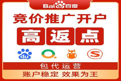 百度竞价广告的投放策略与成功案例分析