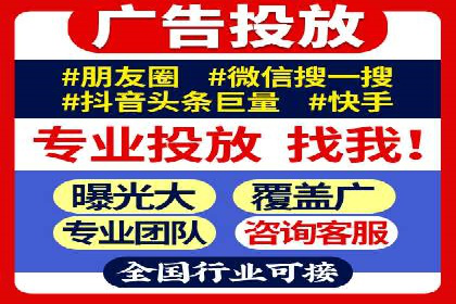 竞价托管服务案例解析